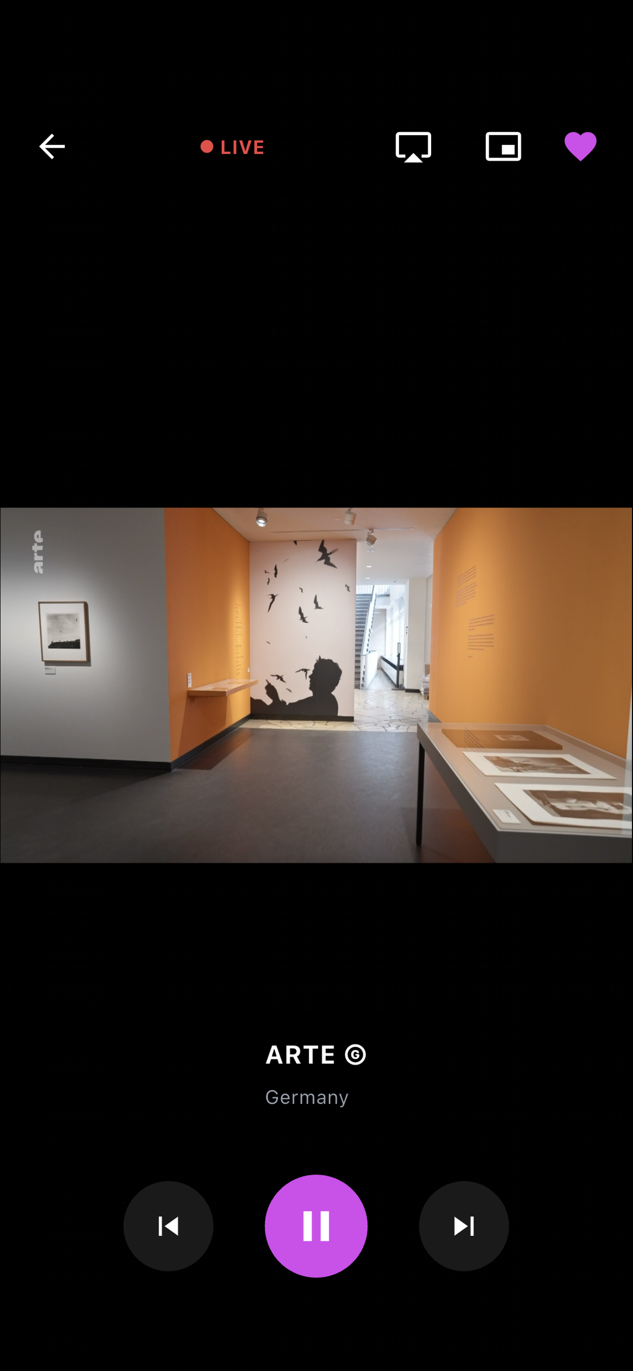 ChonkTV Live Stream Player